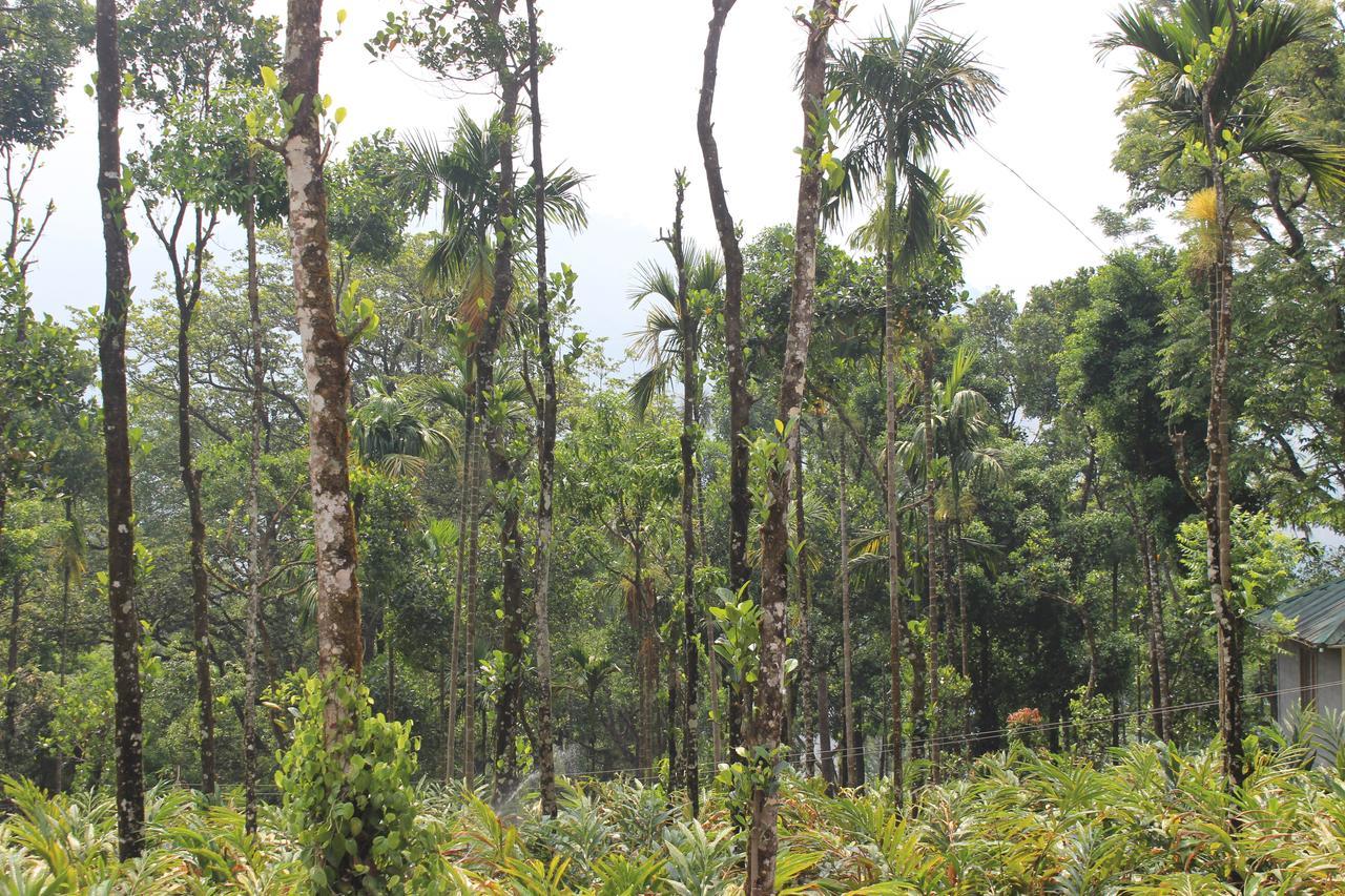 Hotel Tree Blanche Munnar Exterior foto
